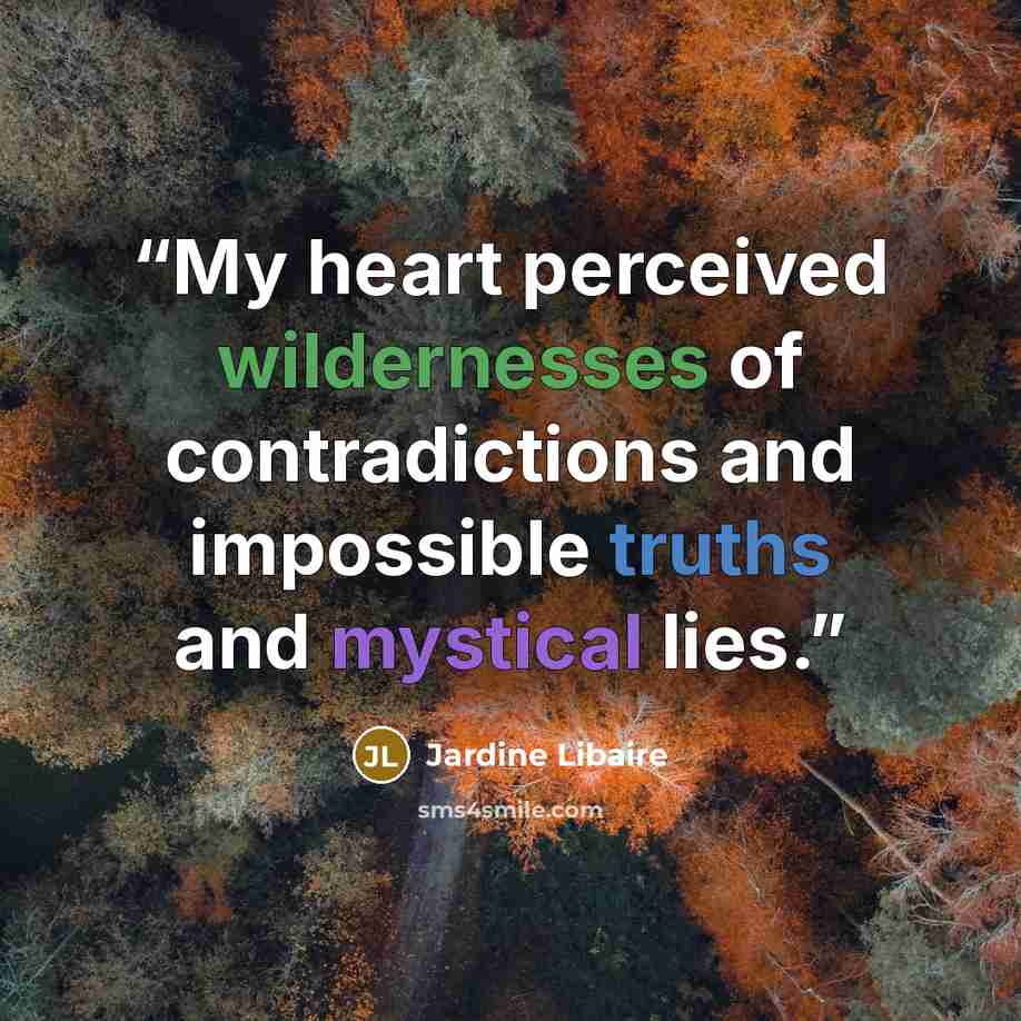 “My heart perceived wildernesses of contradictions and impossible truths and mystical lies.” quote by Jardine Libaire