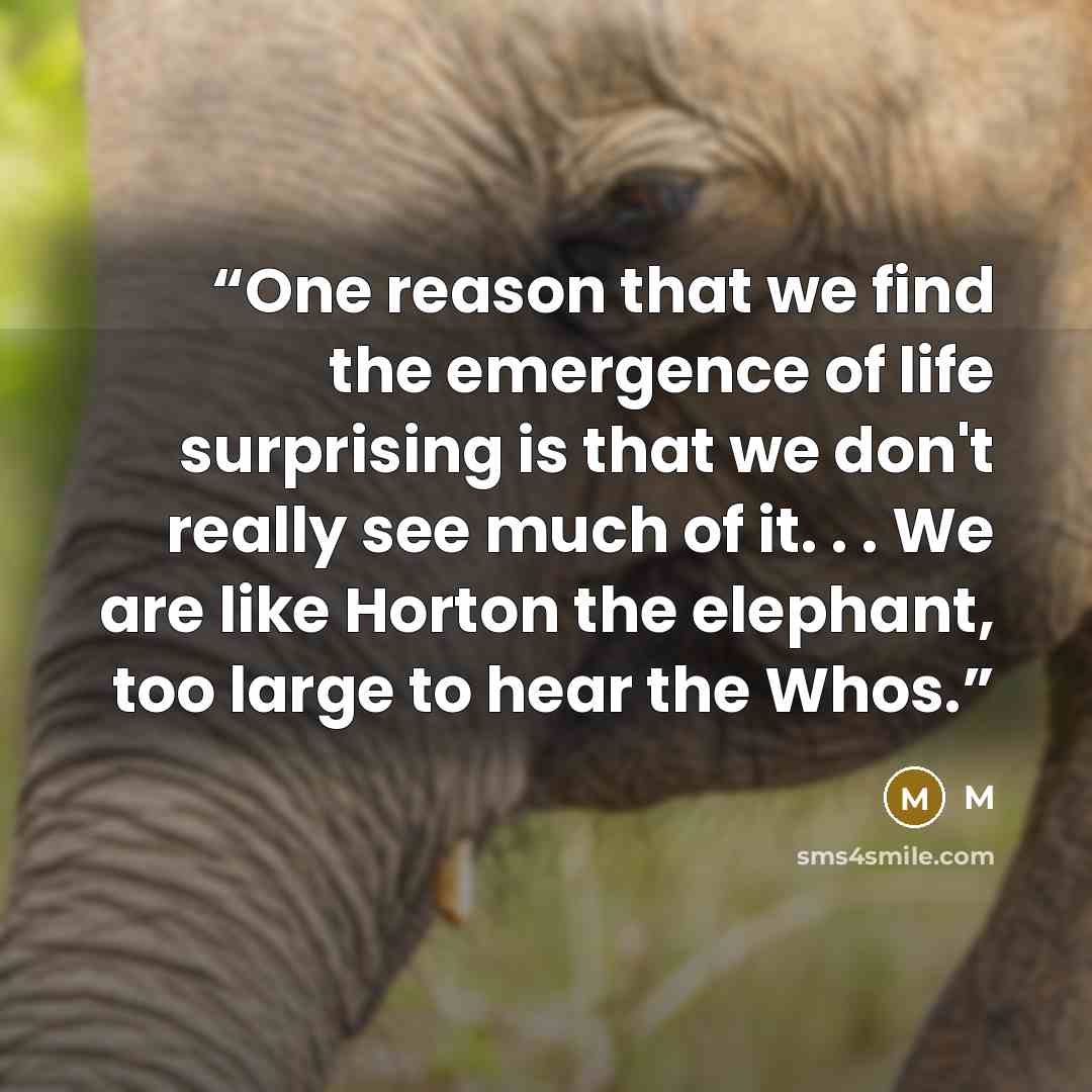 “One reason that we find the emergence of life surprising is that we don't really see much of it. . . We are like Horton the elephant, too large to hear the Whos.” quote by M