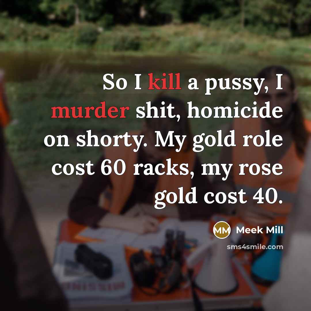 “So I kill a pussy, I murder shit, homicide on shorty. My gold role cost 60 racks, my rose gold cost 40.” quote by Meek Mill