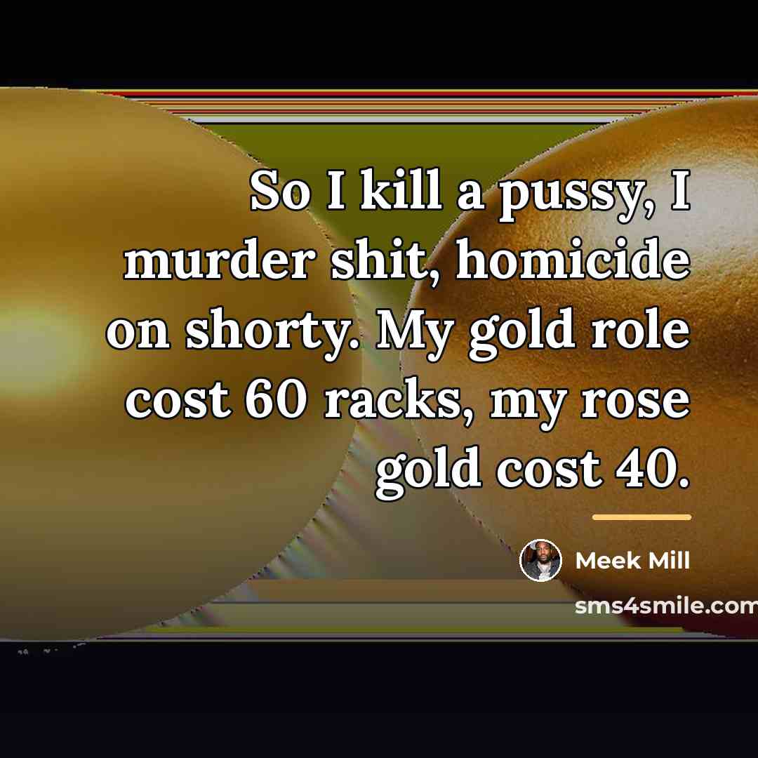 “So I kill a pussy, I murder shit, homicide on…” quote by Meek Mill