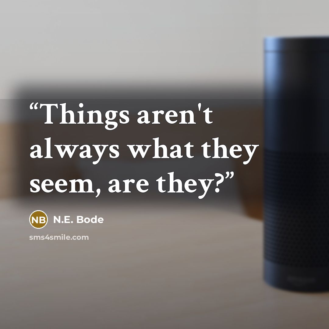 “Things aren't always what they seem, are they?” quote by N.E. Bode