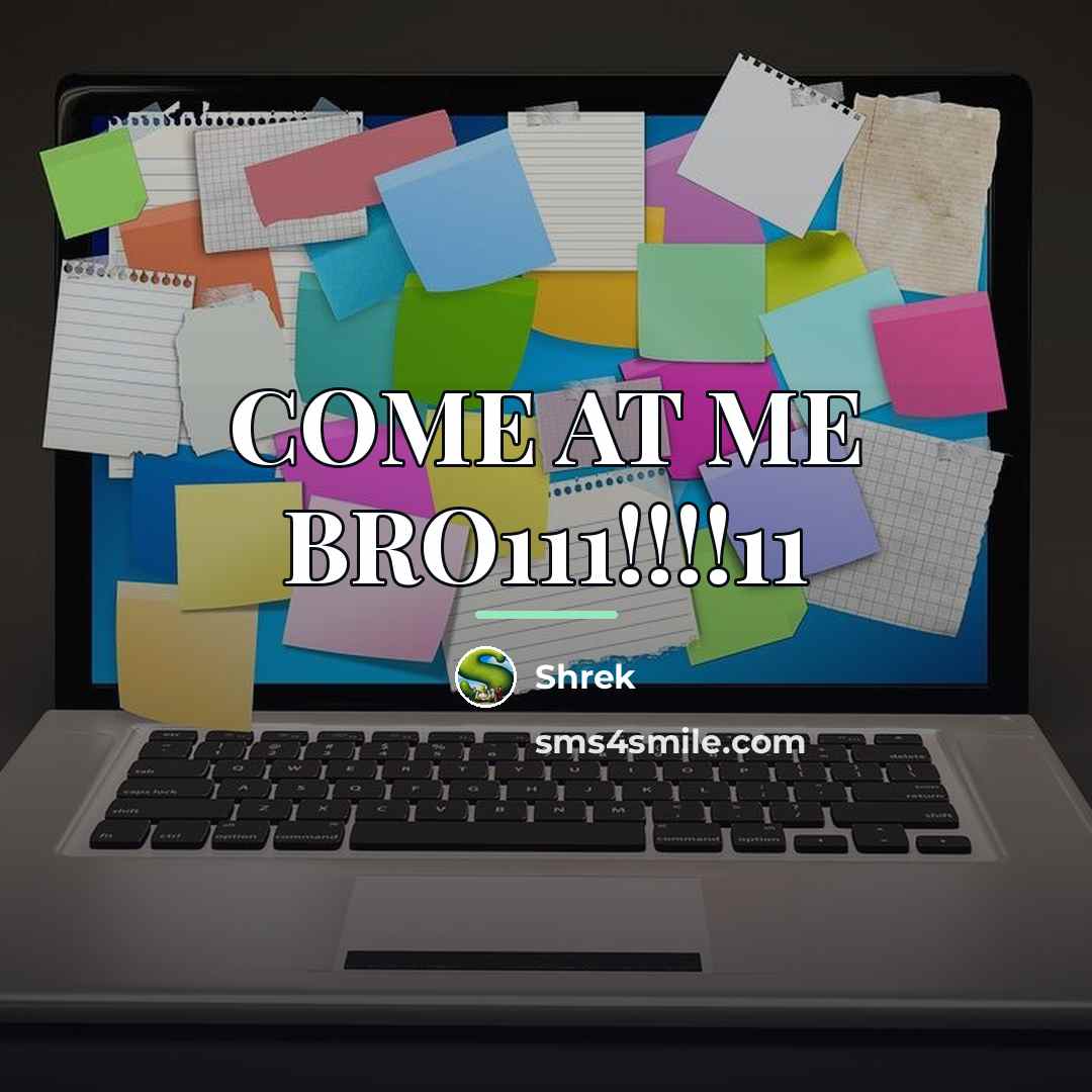 “COME AT ME BRO111!!!!11…” quote by SHREK