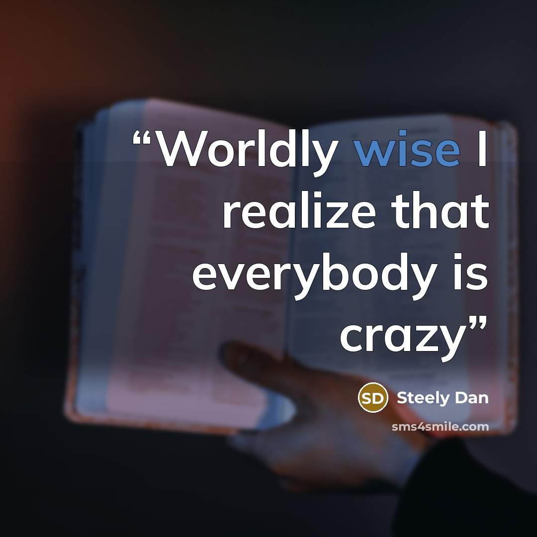 “Worldly wise I realize that everybody is crazy” quote by Steely Dan