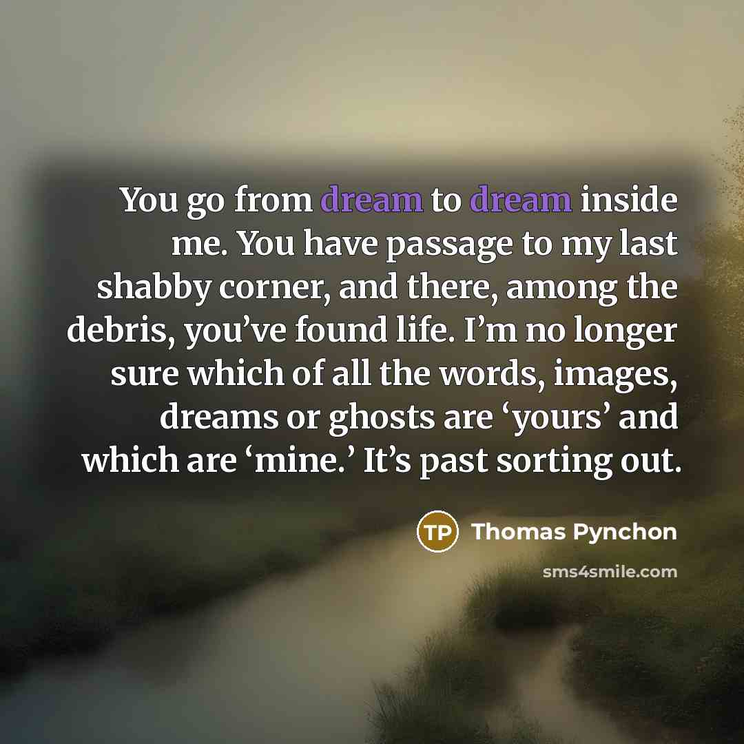 “You go from dream to dream inside me. You have…” quote by Thomas Pynchon