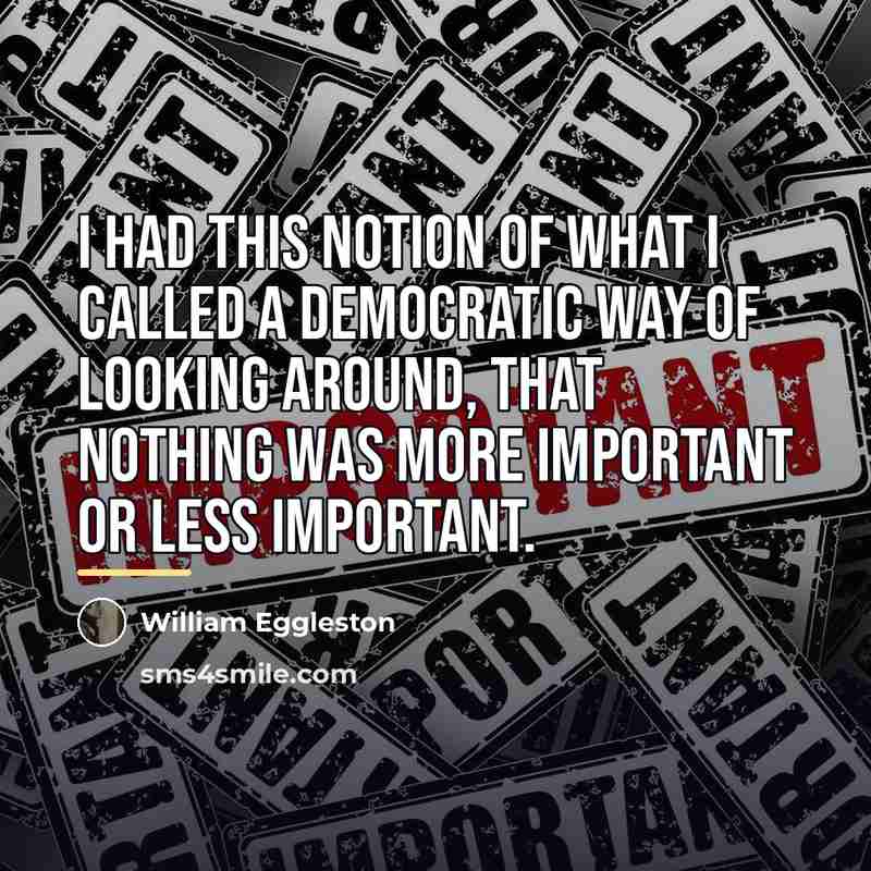 “I had this notion of what I called a democratic…” quote by William Eggleston