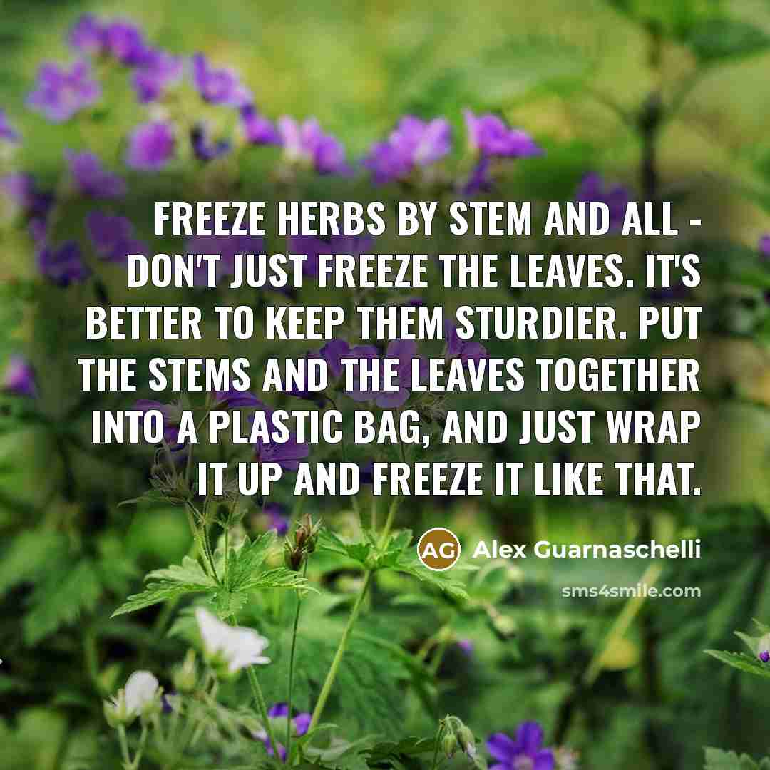 “Freeze herbs by stem and all - don't just freeze…” quote by Alex Guarnaschelli