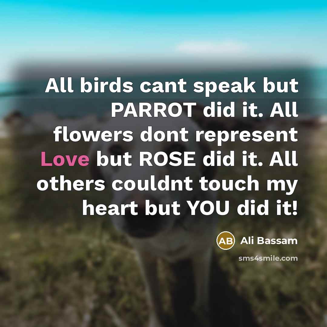 “All birds cant speak but PARROT did it. All flowers…” quote by Ali Bassam