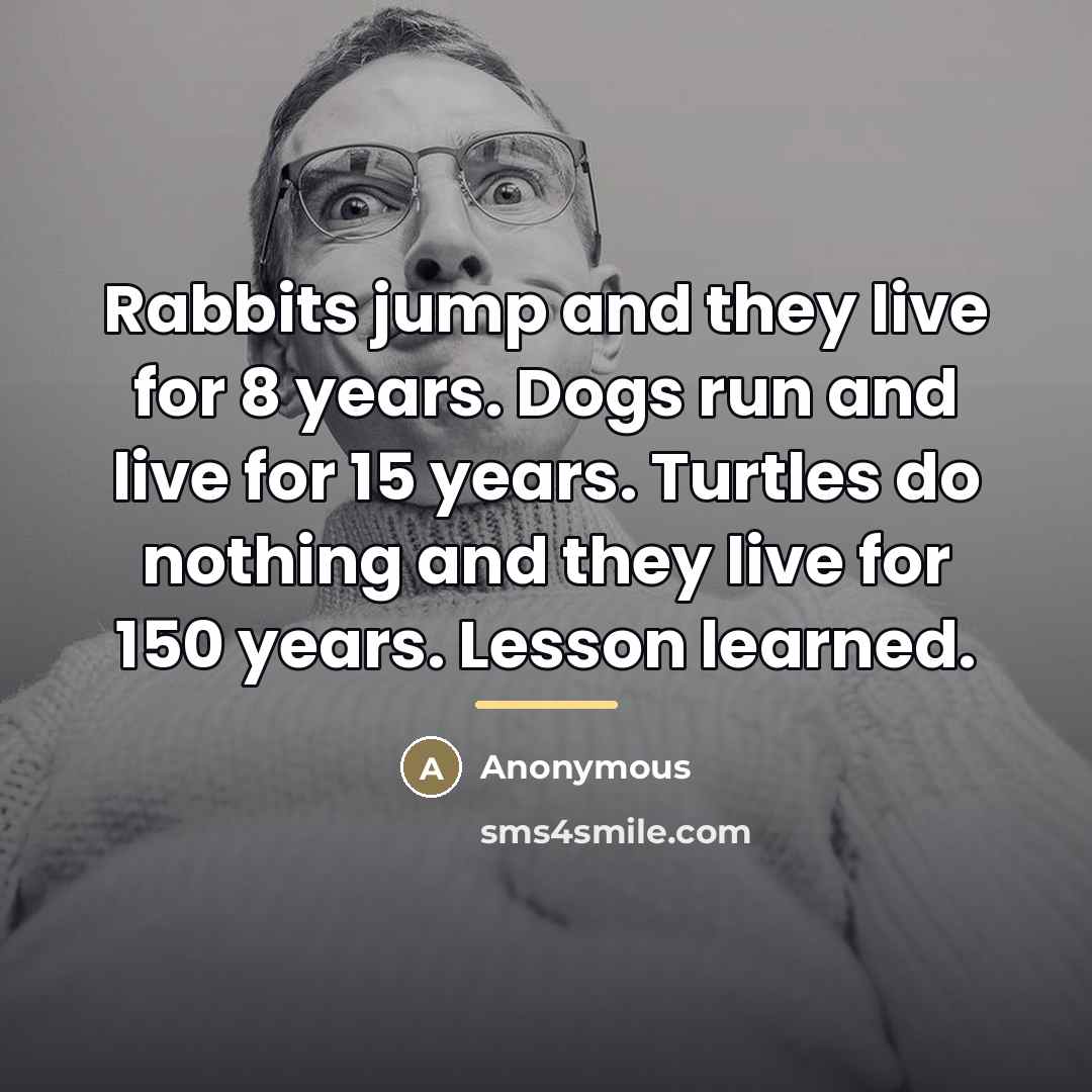 “Rabbits jump and they live for 8 years. Dogs run…” quote by Anonymous