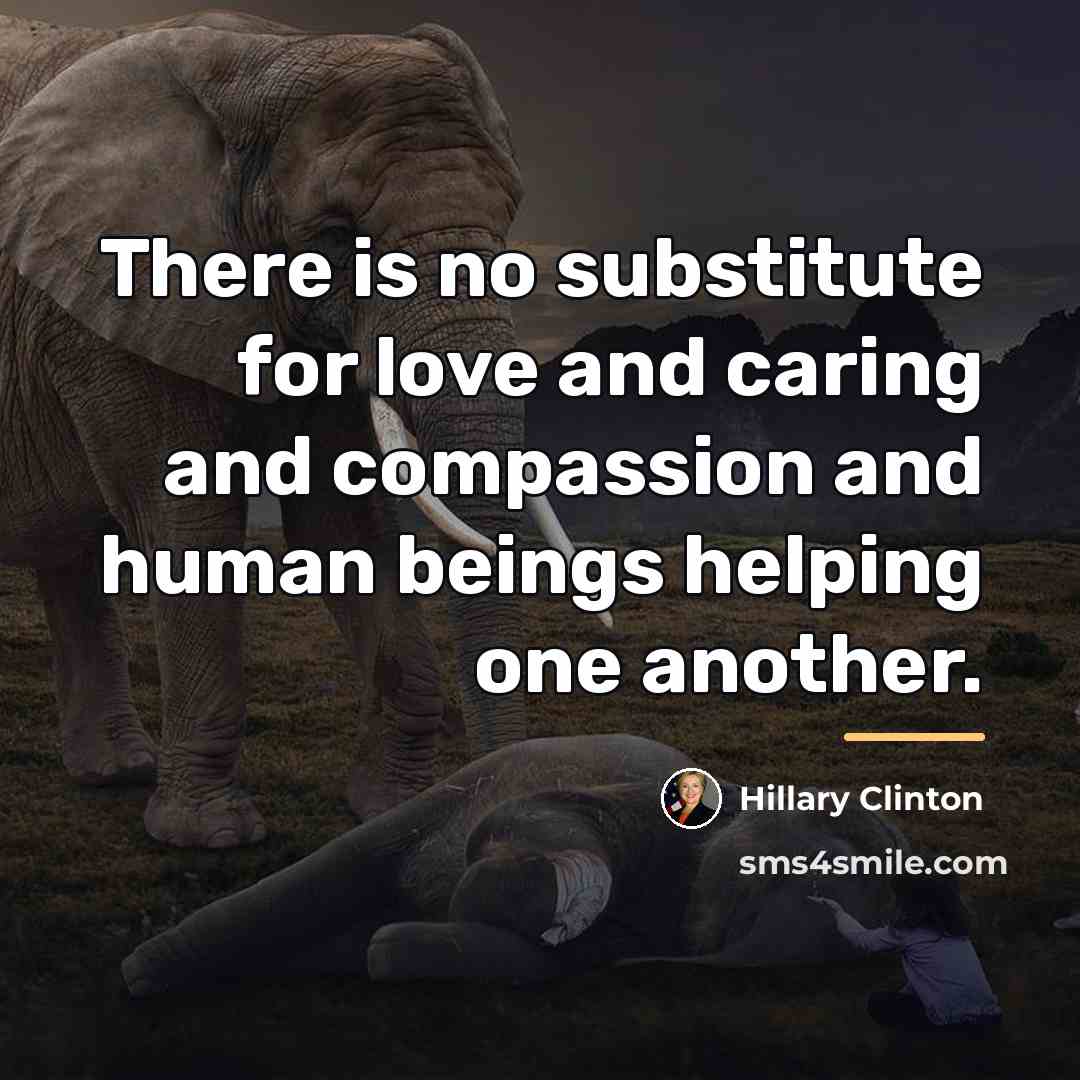 “There is no substitute for love and caring and compassion…” quote by Hillary Clinton