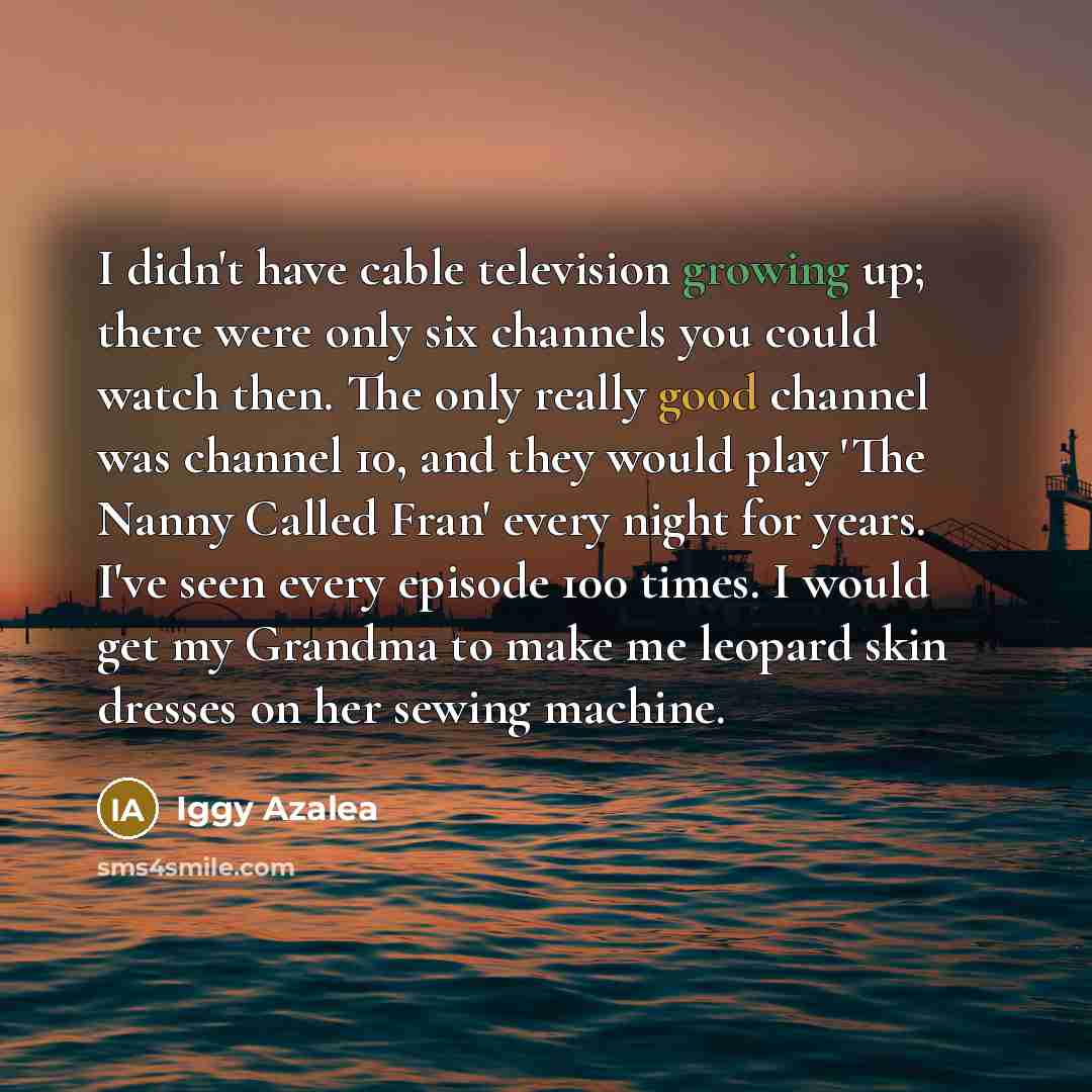 “I didn't have cable television growing up; there were only…” quote by Iggy Azalea