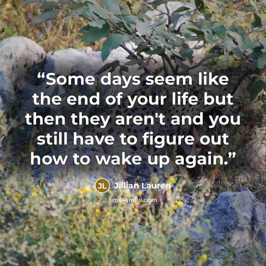 “Some days seem like the end of your life but then they aren't and you still have to figure out how to wake up again.” quote by Jillian Lauren