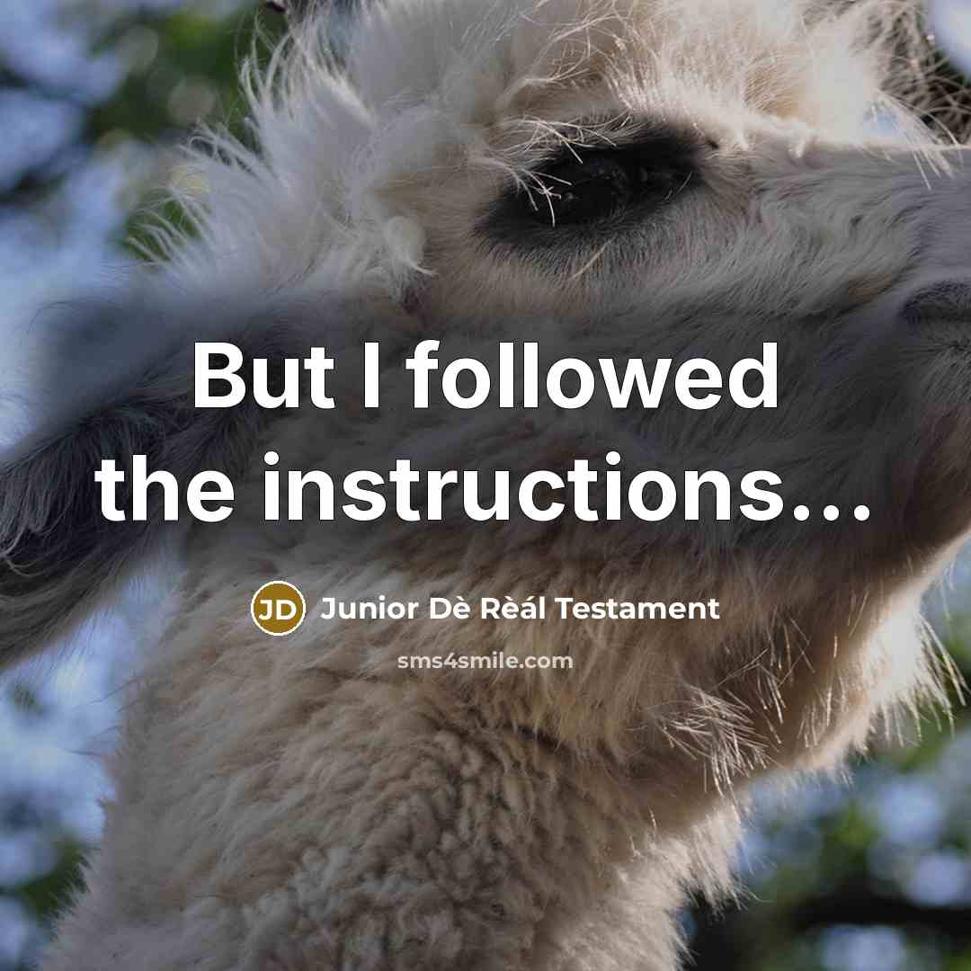 “But I followed the instructions...” quote by Junior Dè Rèál Testament