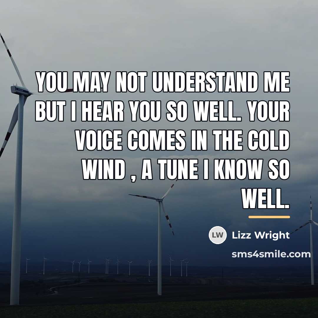 “You may not understand me but I hear you so…” quote by Lizz Wright
