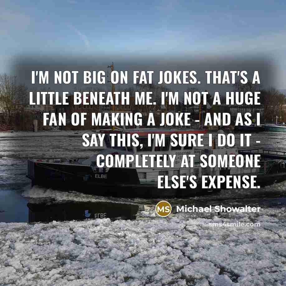 “I'm not big on fat jokes. That's a little beneath…” quote by Michael Showalter