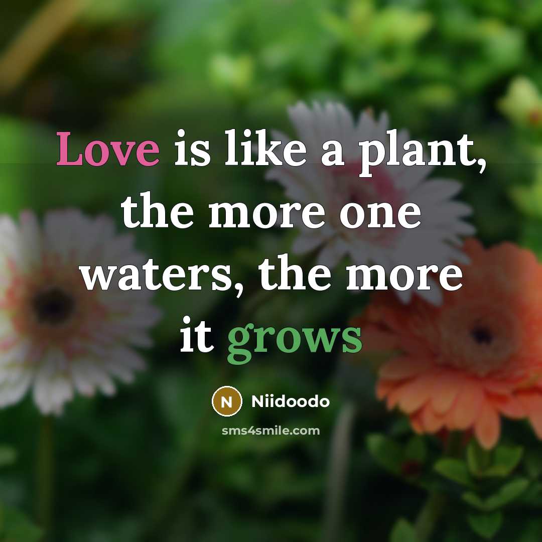“Love is like a plant, the more one waters, the…” quote by Niidoodo