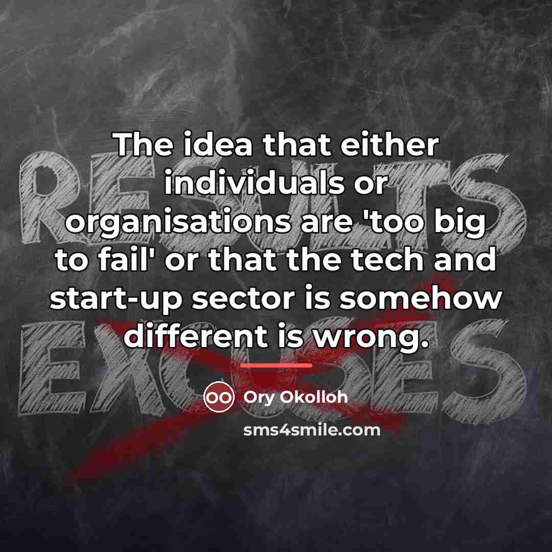 “The idea that either individuals or organisations are 'too big…” quote by Ory Okolloh