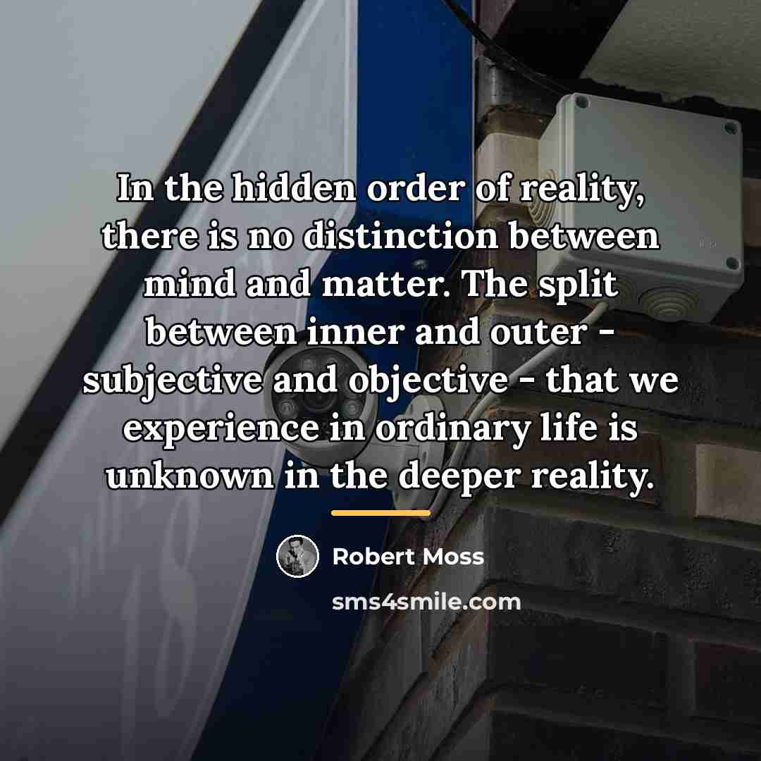 “In the hidden order of reality, there is no distinction…” quote by Robert Moss