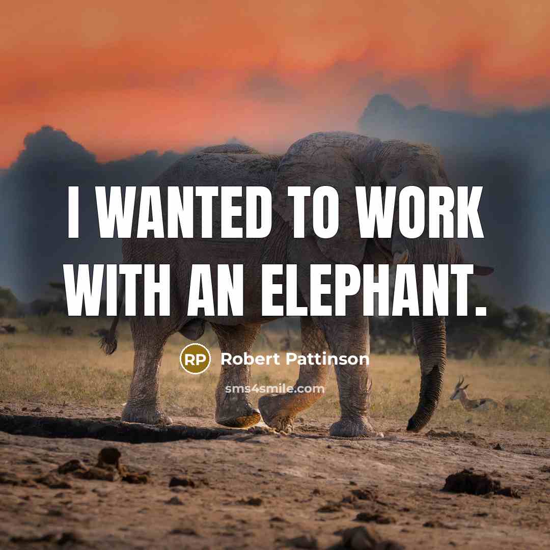 “I wanted to work with an elephant.” quote by Robert Pattinson