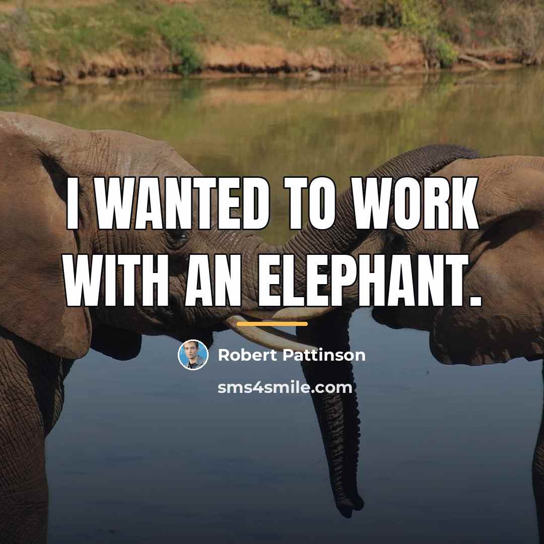 “I wanted to work with an elephant.…” quote by Robert Pattinson