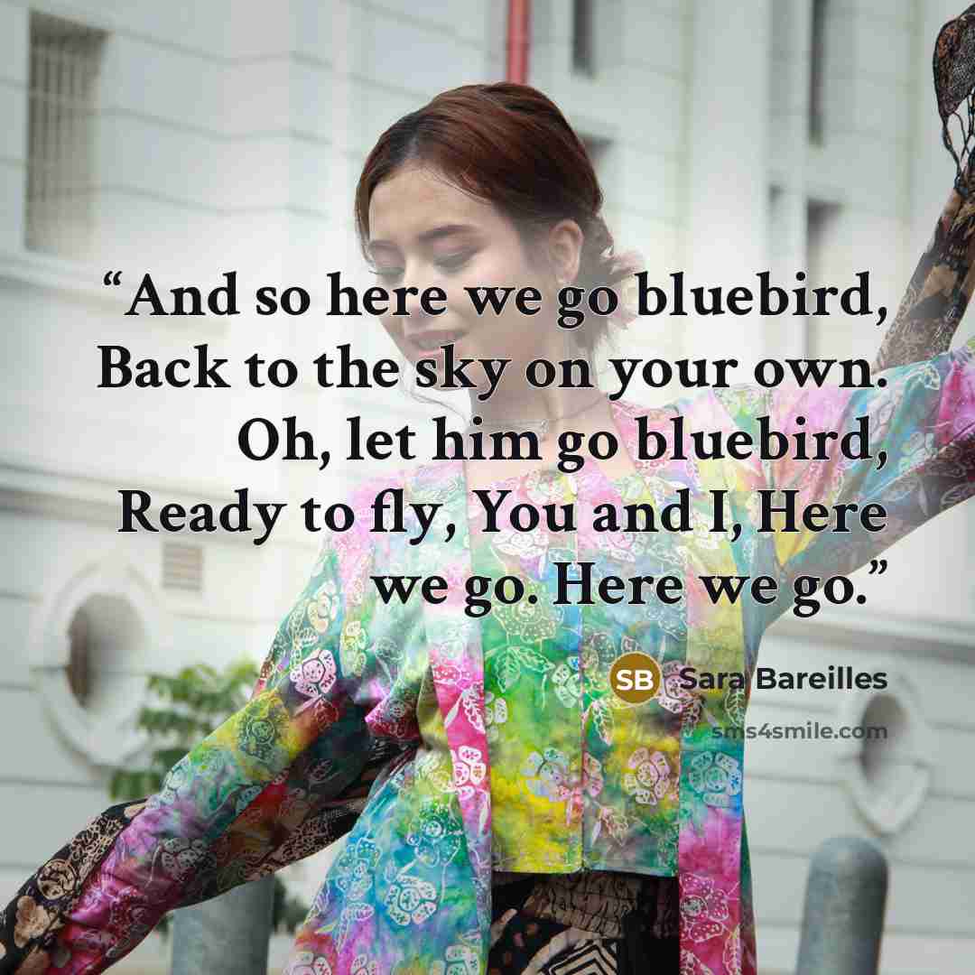 “And so here we go bluebird, Back to the sky on your own. Oh, let him go bluebird, Ready to fly, You and I, Here we go. Here we go.” quote by Sara Bareilles