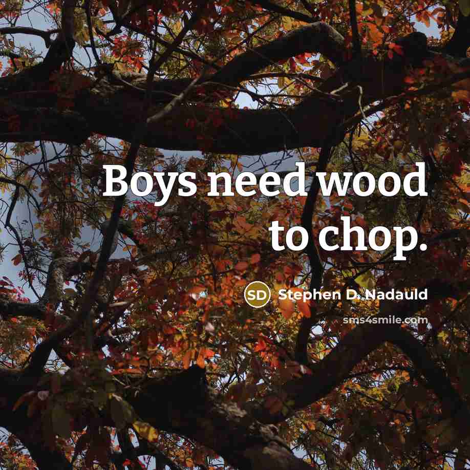 “Boys need wood to chop.” quote by Stephen D. Nadauld