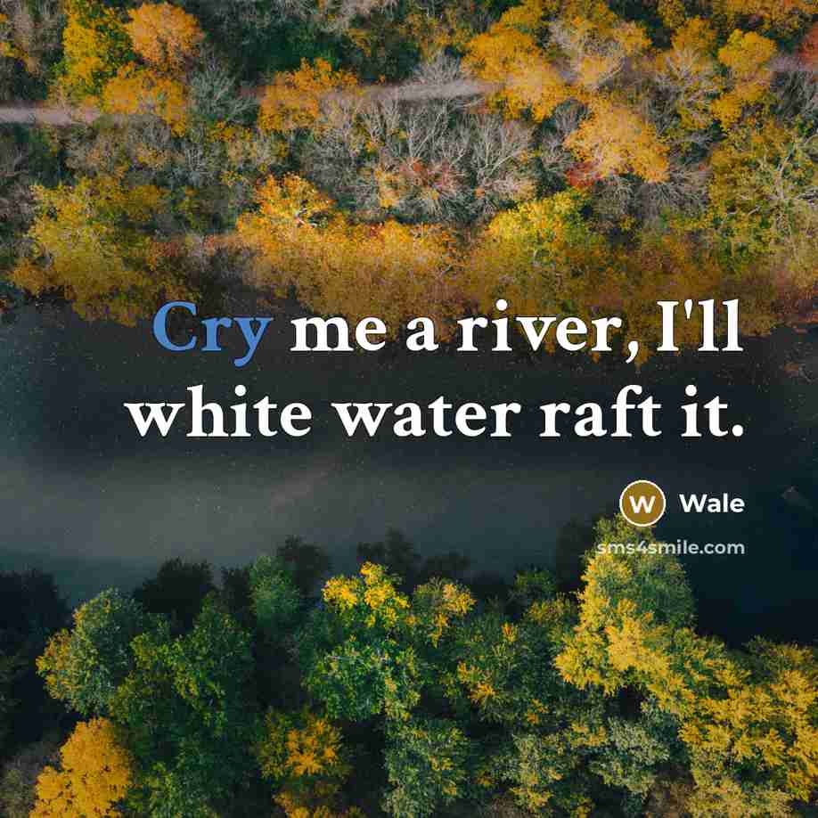“Cry me a river, I'll white water raft it.” quote by Wale