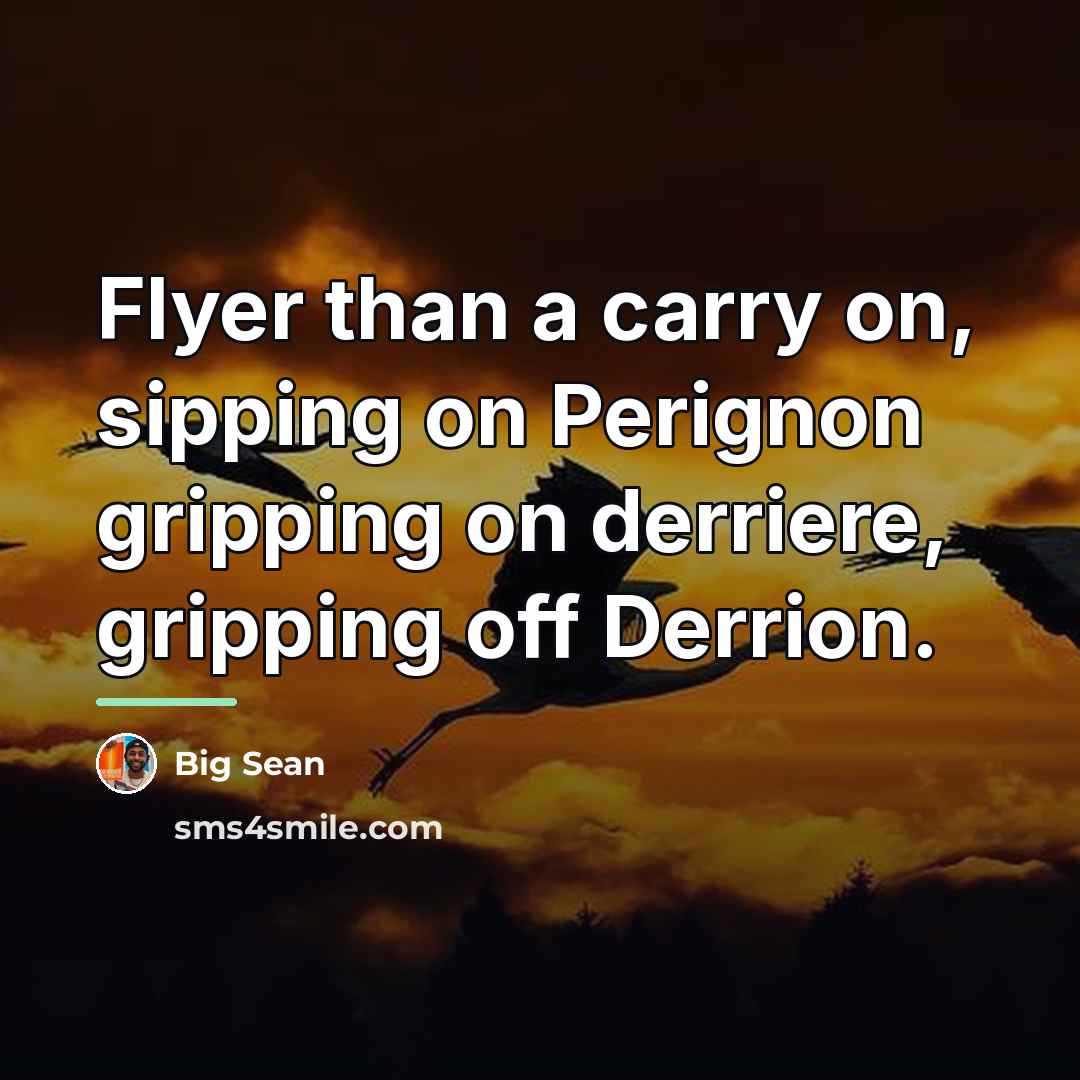 “Flyer than a carry on, sipping on Perignon gripping on…” quote by Big Sean