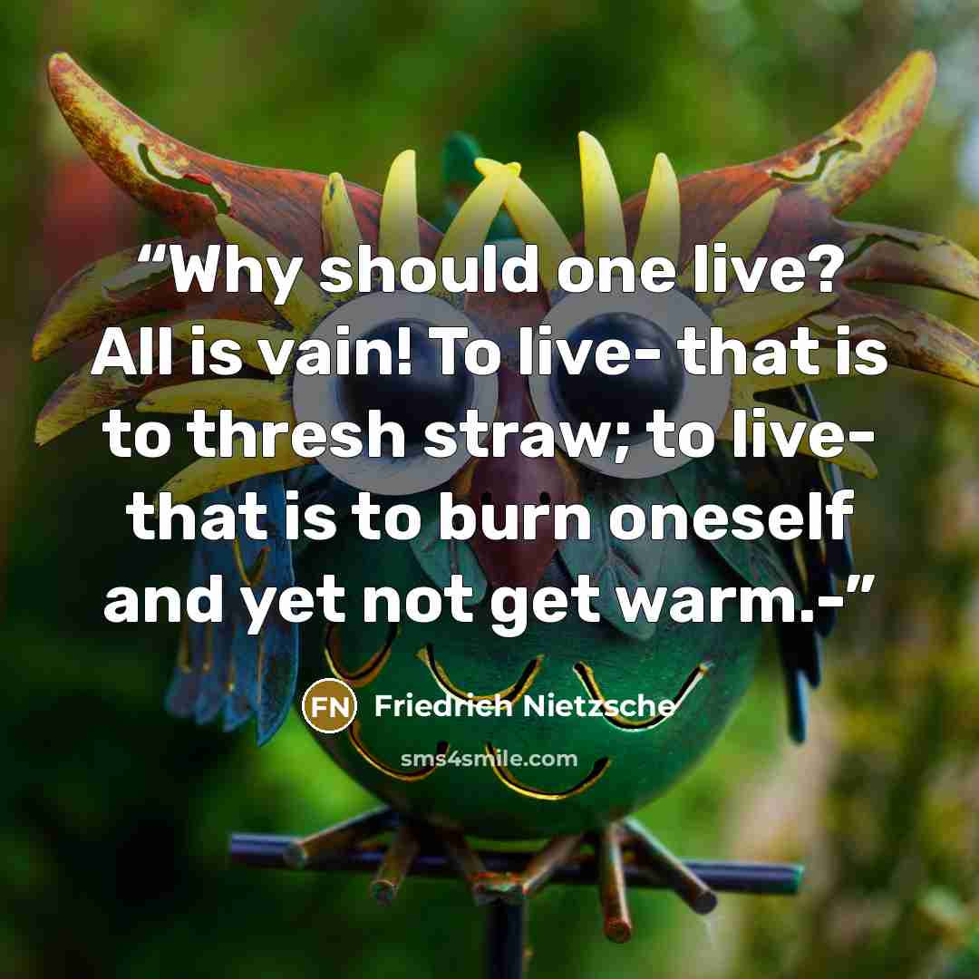 “Why should one live? All is vain! To live- that is to thresh straw; to live- that is to burn oneself and yet not get warm.-” quote by Friedrich Nietzsche