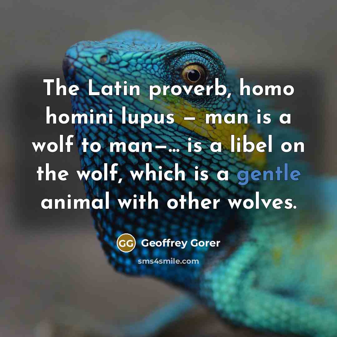 “The Latin proverb, homo homini lupus — man is a…” quote by Geoffrey Gorer