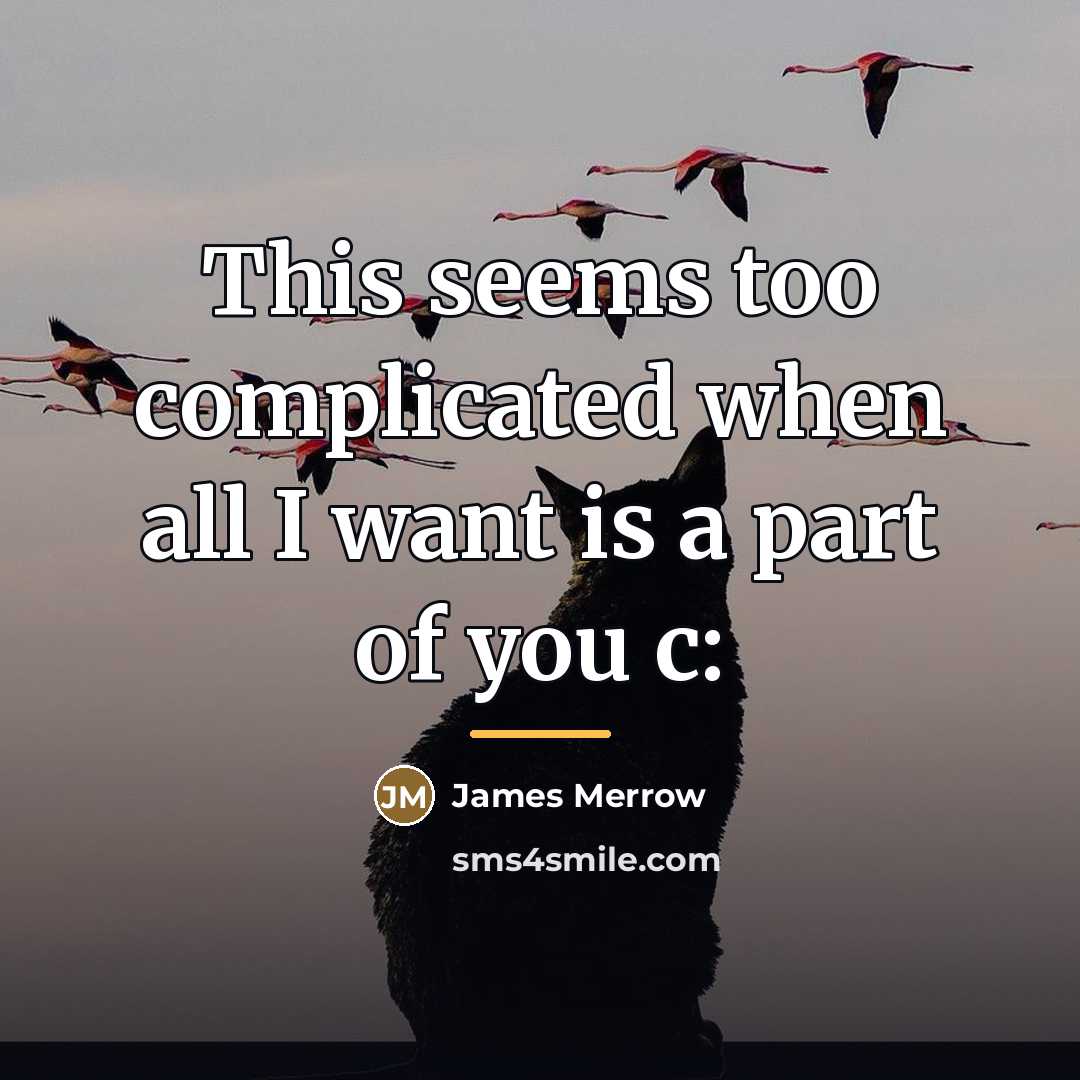 “This seems too complicated when all I want is a…” quote by James Merrow