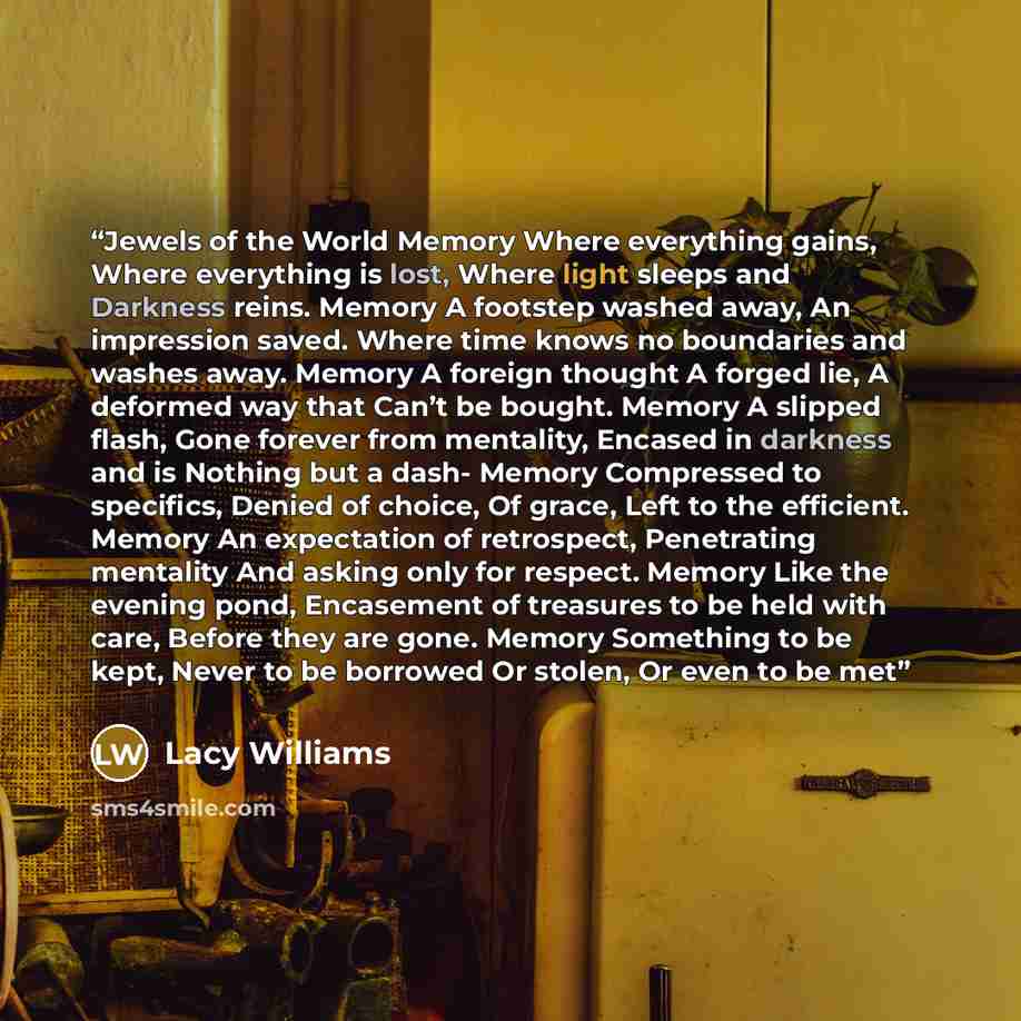 “Jewels of the World Memory Where everything gains, Where everything is lost, Where light sleeps and Darkness reins. Memory A footstep washed away, An impression saved. Where time knows no boundaries and washes away. Memory A foreign thought A forged lie, A deformed way that Can’t be bought. Memory…” quote by Lacy Williams