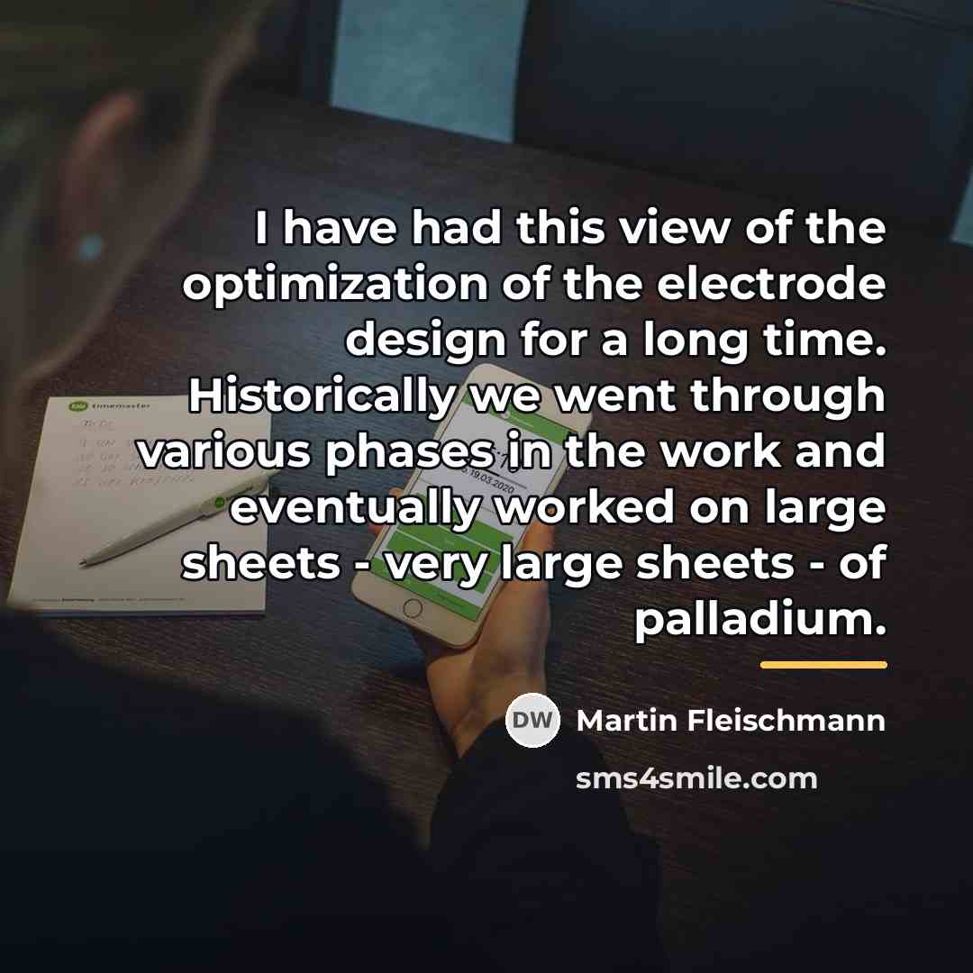 “I have had this view of the optimization of the…” quote by Martin Fleischmann
