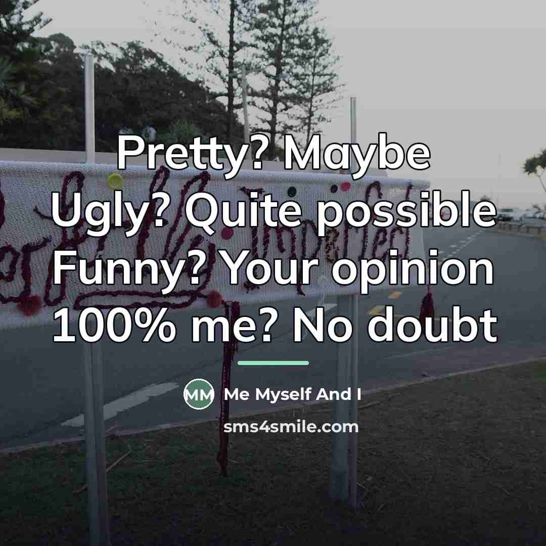 “Pretty? Maybe Ugly? Quite possible Funny? Your opinion 100% me?…” quote by Me Myself And I