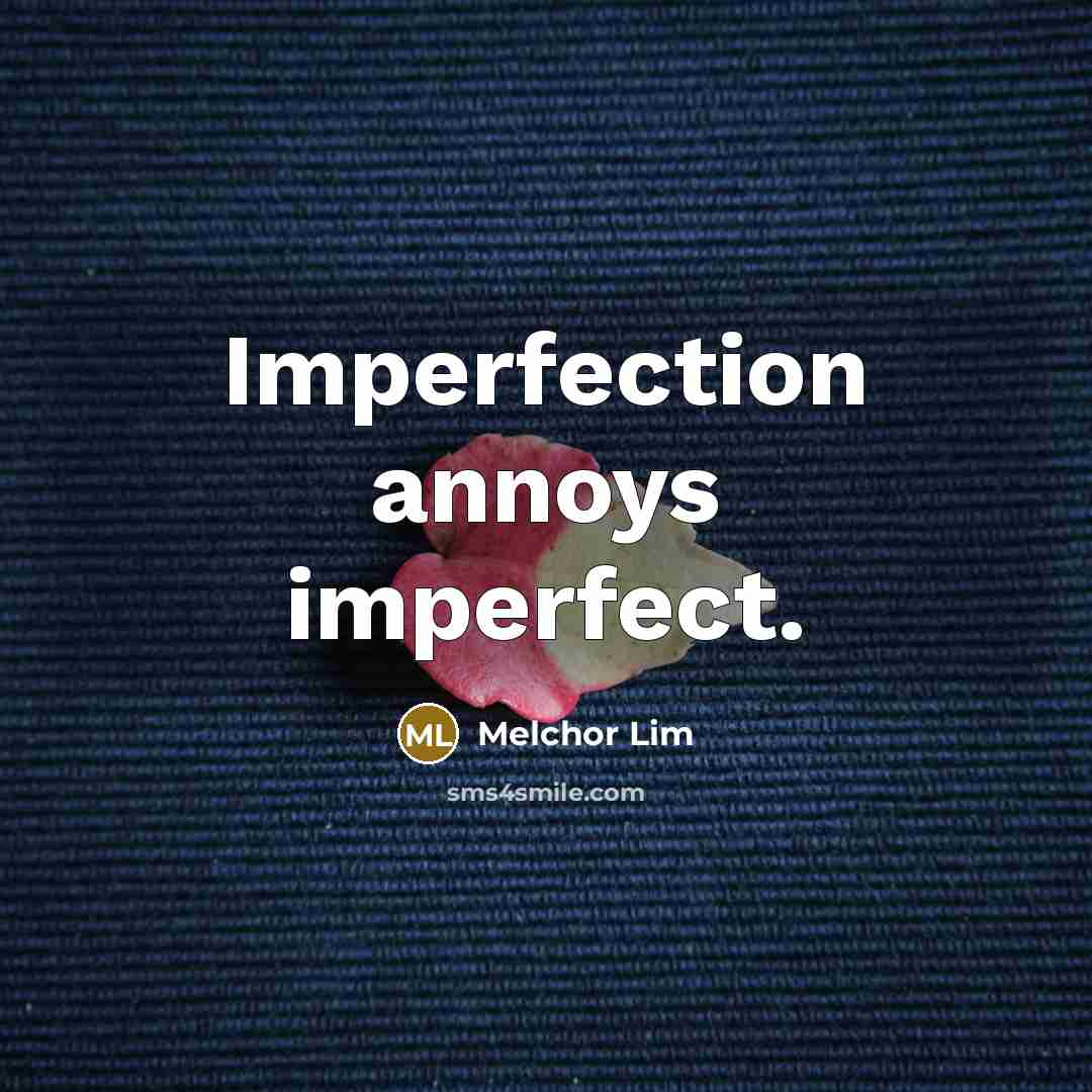 “Imperfection annoys imperfect.…” quote by Melchor Lim