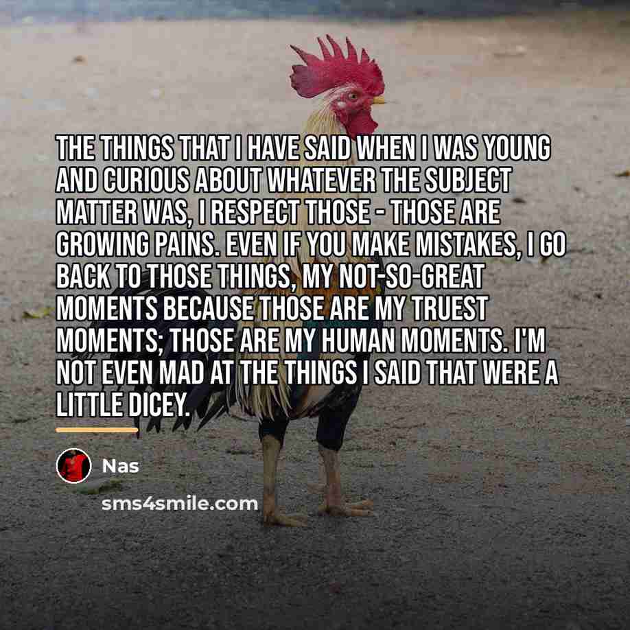 “The things that I have said when I was young…” quote by Nas