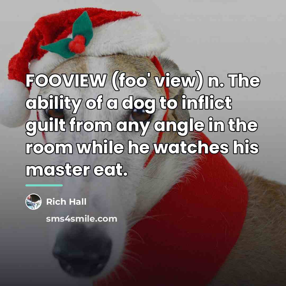 “FOOVIEW (foo' view) n. The ability of a dog to…” quote by Rich Hall