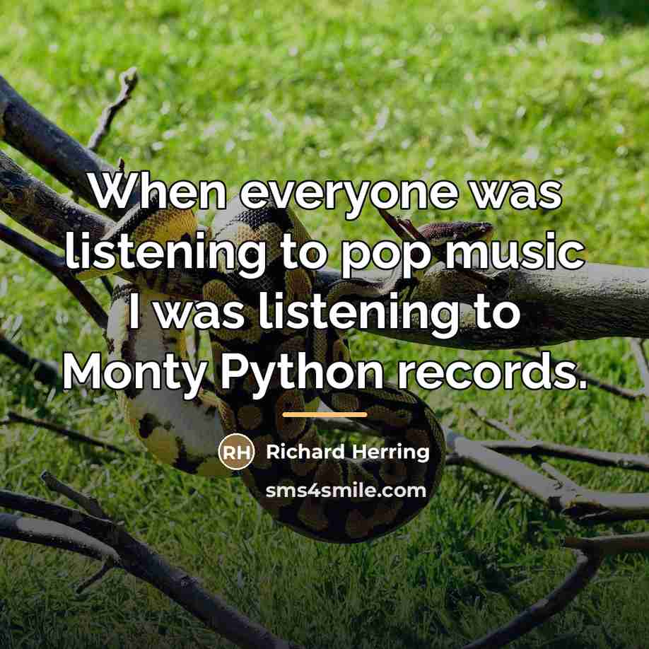 “When everyone was listening to pop music I was listening…” quote by Richard Herring