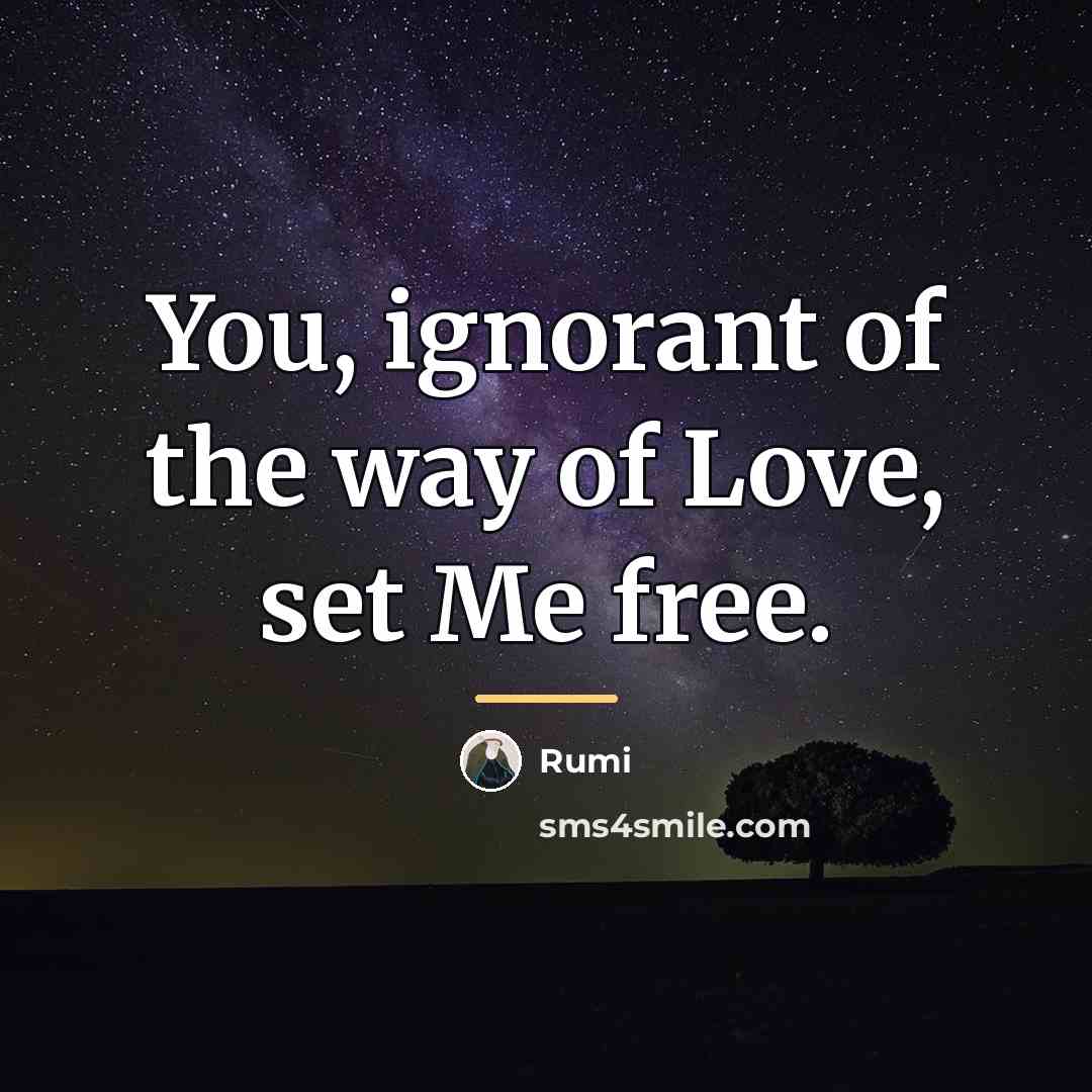“You, ignorant of the way of Love, set Me free.…” quote by Rumi