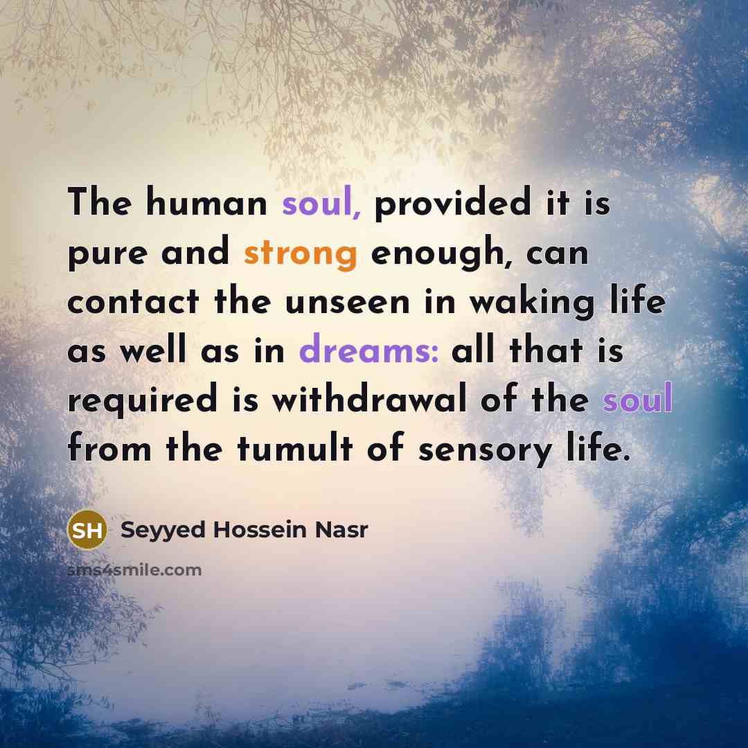 “The human soul, provided it is pure and strong enough,…” quote by Seyyed Hossein Nasr