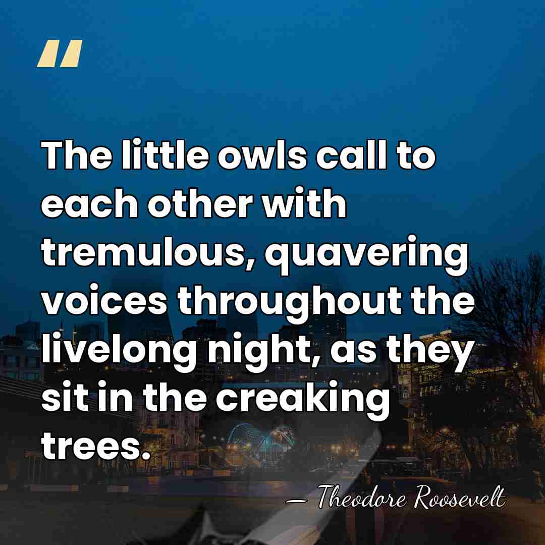 The little owls call to each other with tremulous, quavering voices throughout&hellip; - Theodore Roosevelt