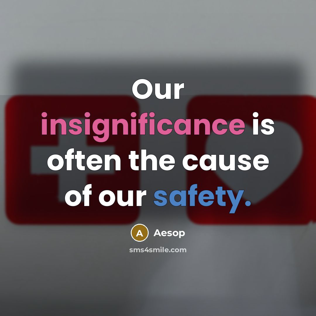 “Our insignificance is often the cause of our safety.” quote by Aesop