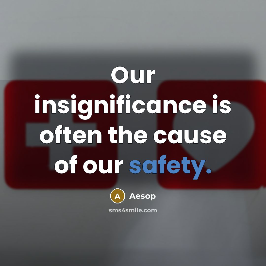 “Our insignificance is often the cause of our safety.…” quote by Aesop