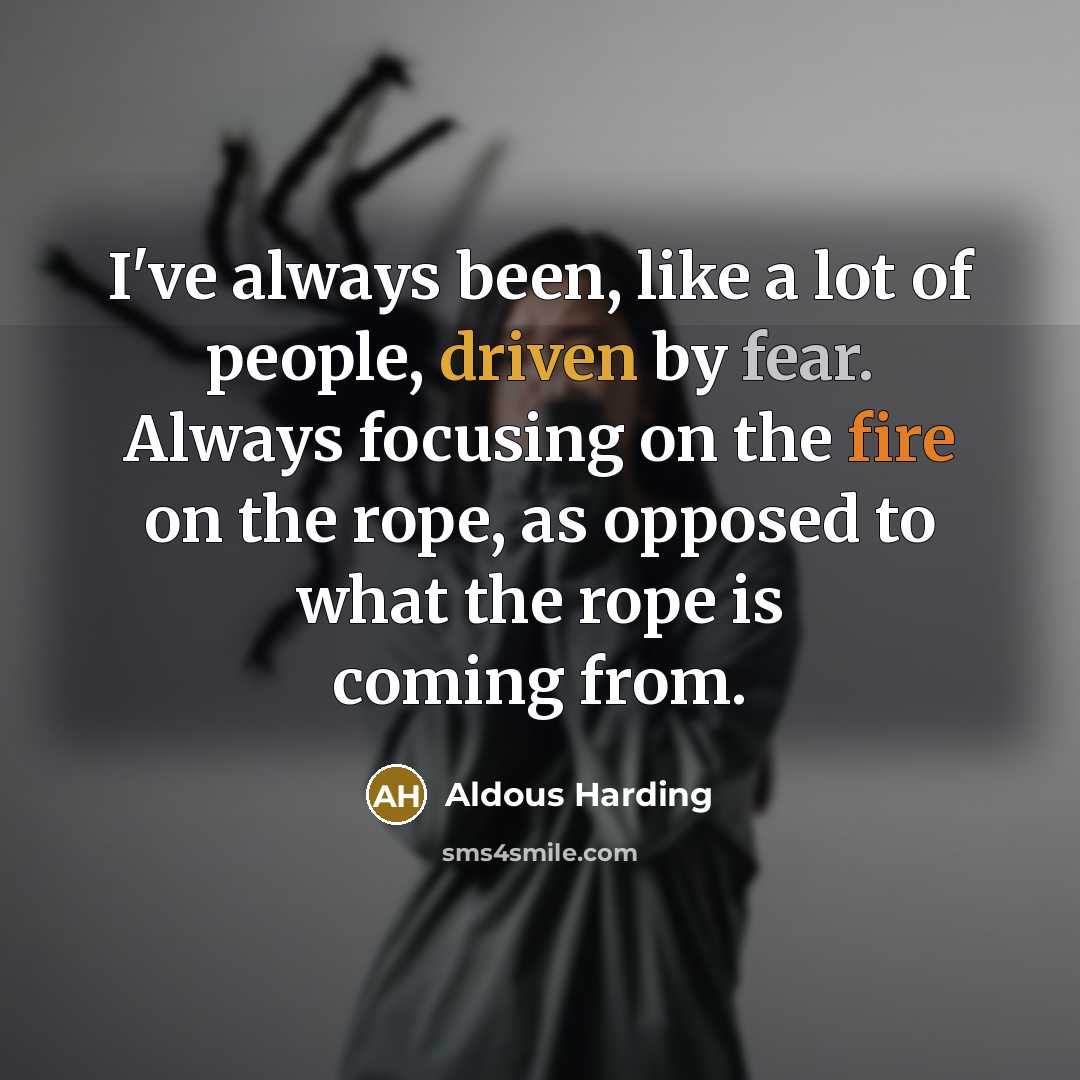 “I've always been, like a lot of people, driven by…” quote by Aldous Harding