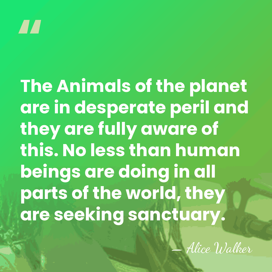 The Animals of the planet are in desperate peril and they are&hellip; - Alice Walker