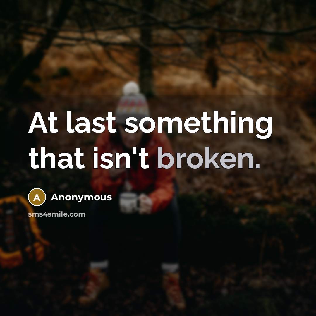 “At last something that isn't broken.” quote by Anonymous