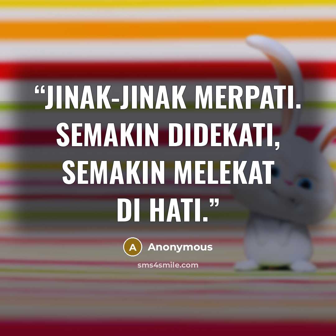 “Jinak-jinak merpati. semakin didekati, semakin melekat di hati.” quote by Anonymous