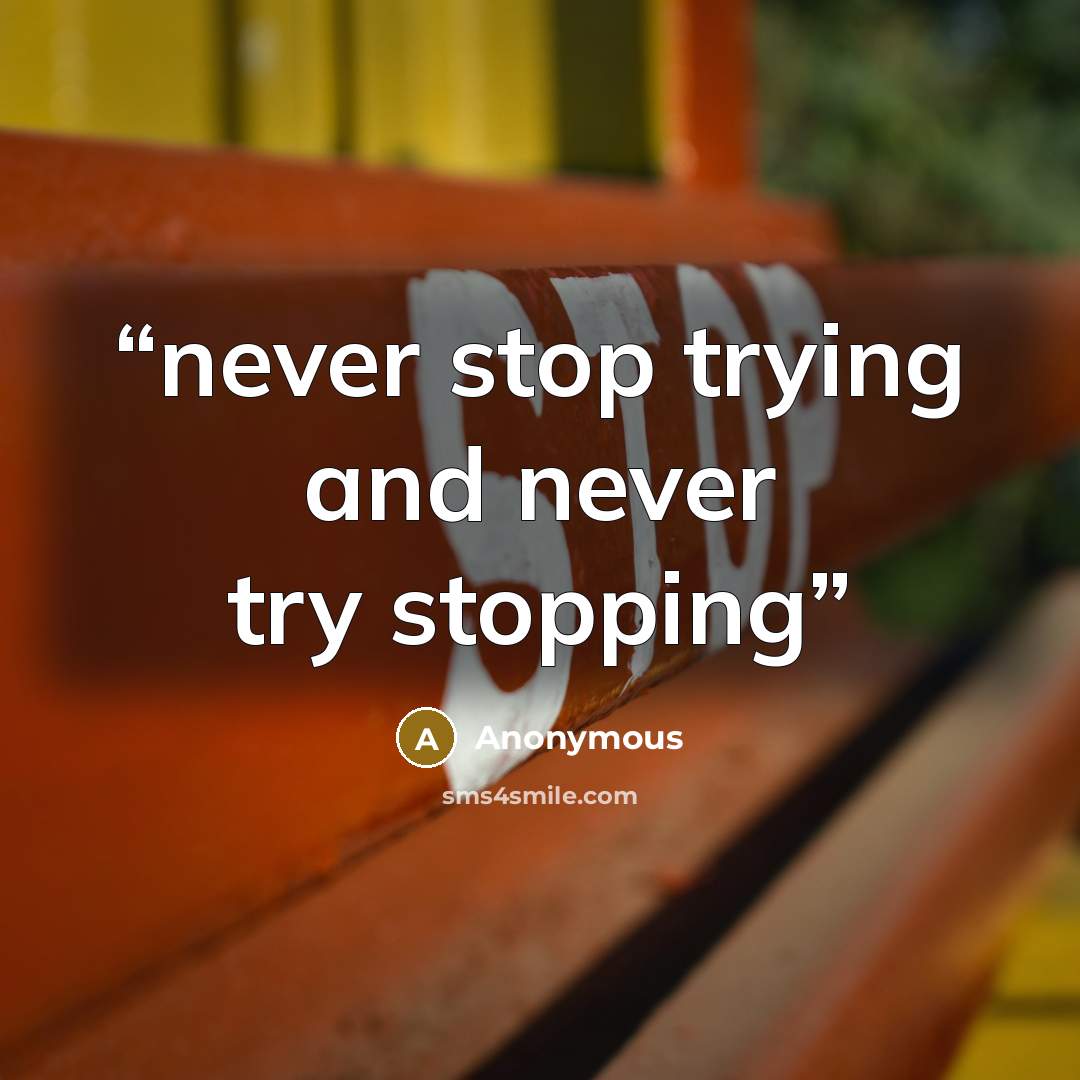 “never stop trying and never try stopping” quote by Anonymous
