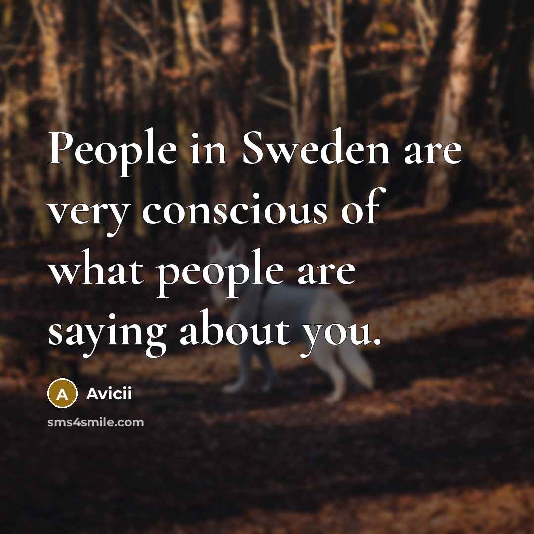 “People in Sweden are very conscious of what people are…” quote by Avicii