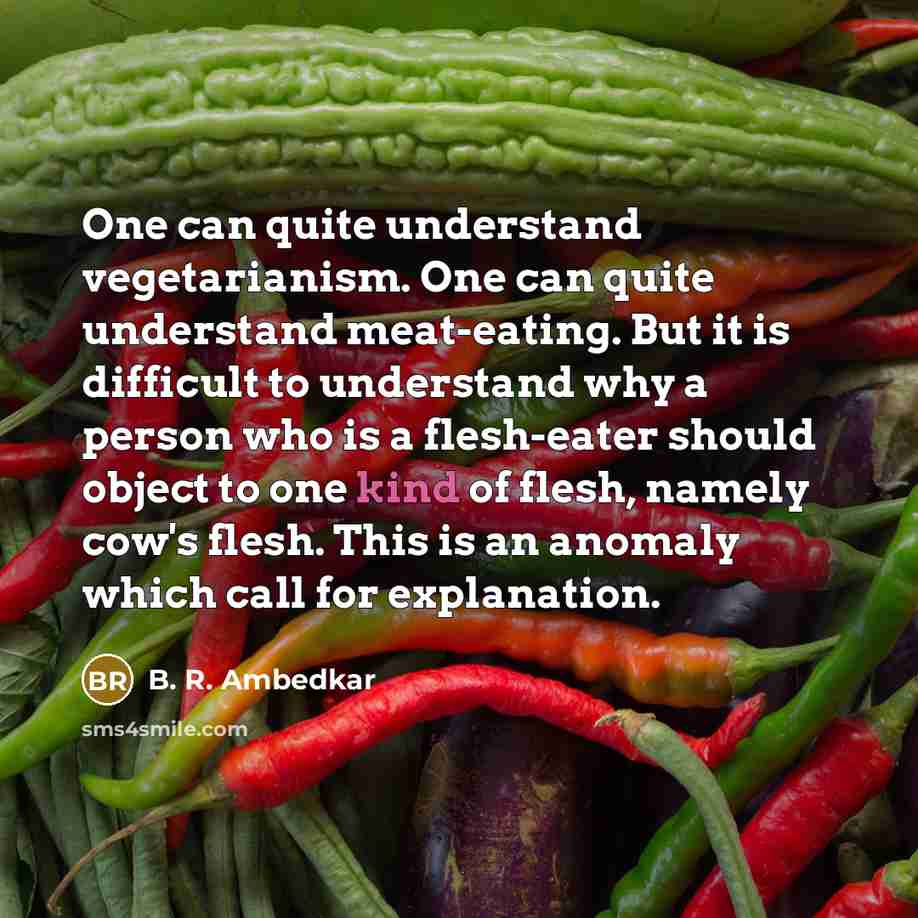 “One can quite understand vegetarianism. One can quite understand meat-eating.…” quote by B. R. Ambedkar