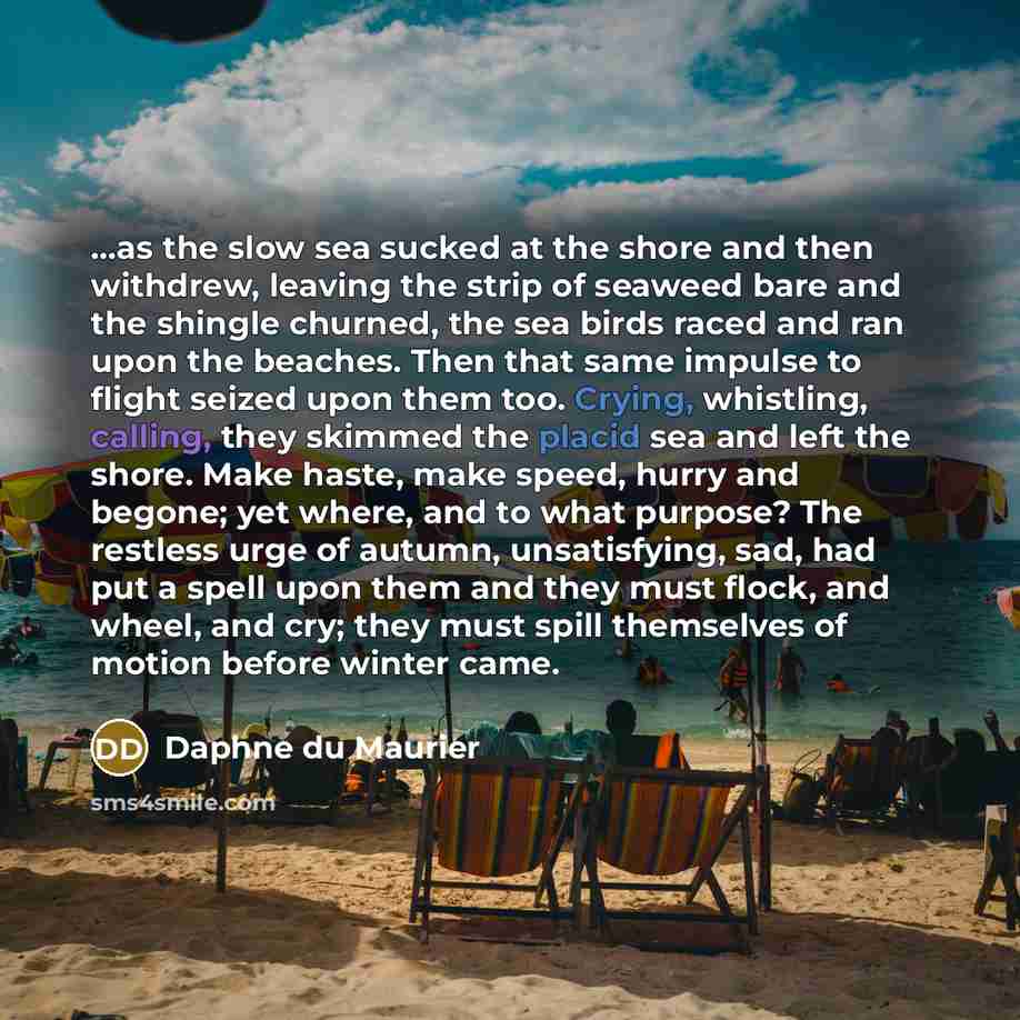 “...as the slow sea sucked at the shore and then…” quote by Daphne du Maurier